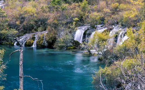 自动化绿色创新
